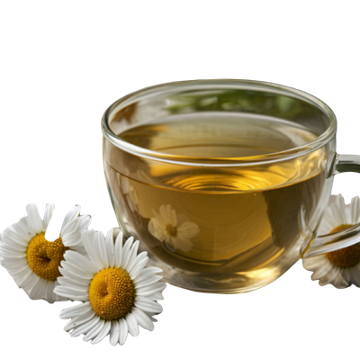 Organic Chamomile Tea