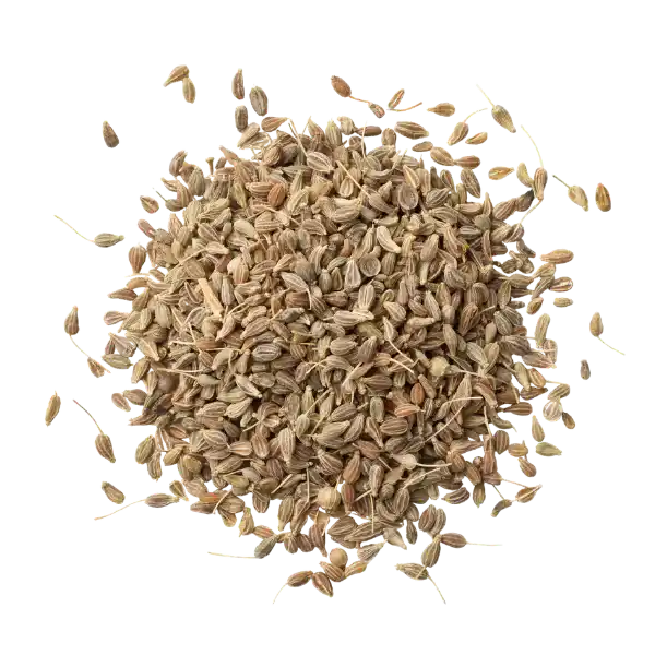 Anise, aniseed