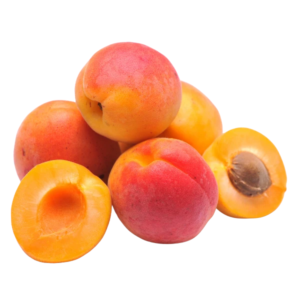 Apricot