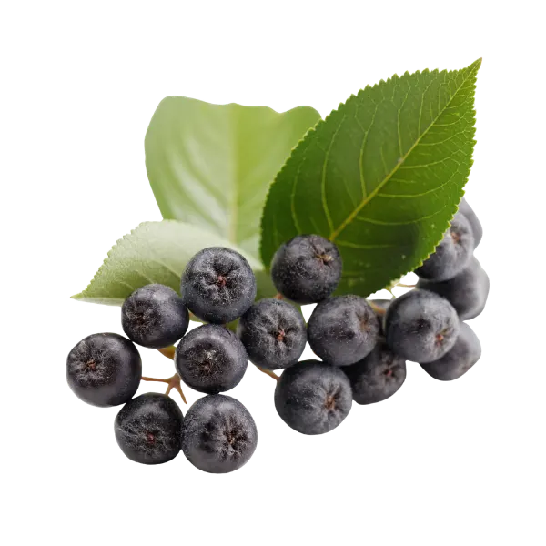 Chokeberries