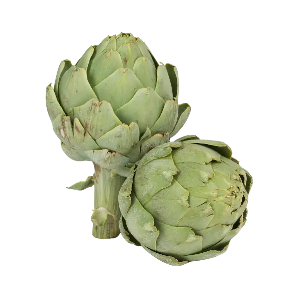 Artichoke