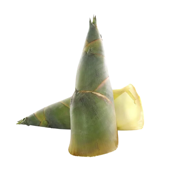 Bamboo shoots