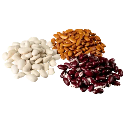 Beans