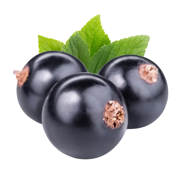 Blackcurrants