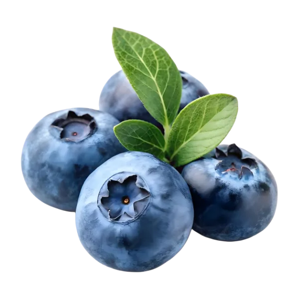 Blueberries