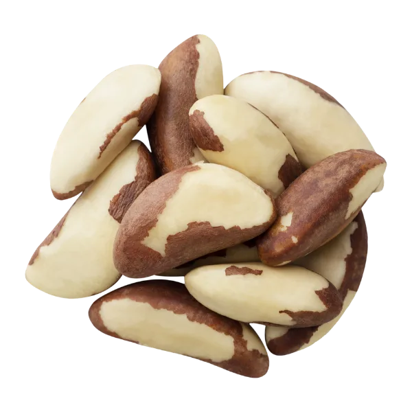 Brazil nut