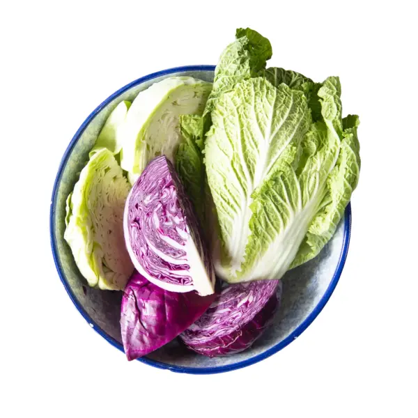 Cabbage (excepting cauliflower and kohlrabi)