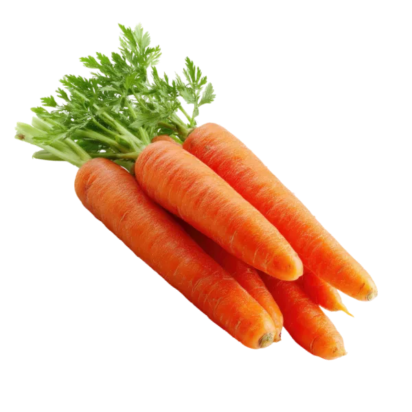 Carrot