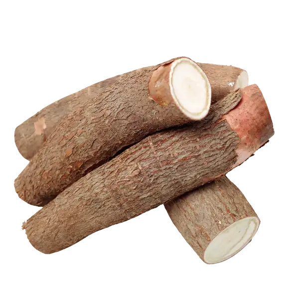 Cassava