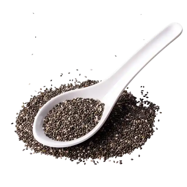 Chia (Salvia hispanica)