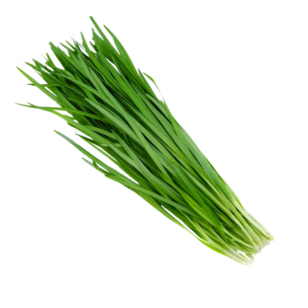 Chives
