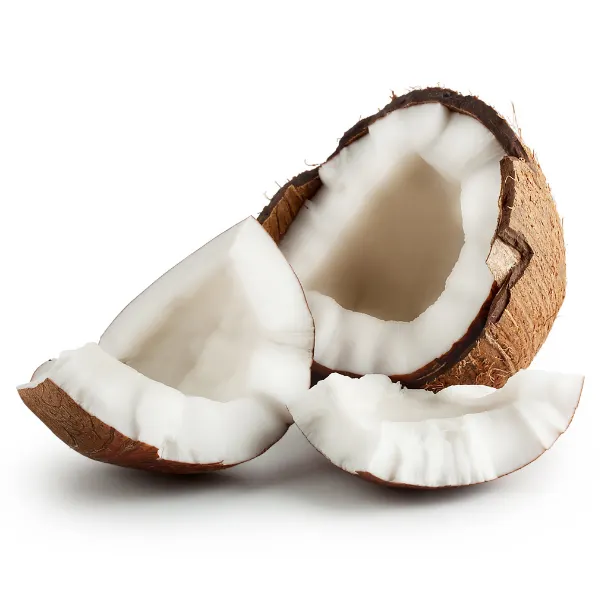 Coconut