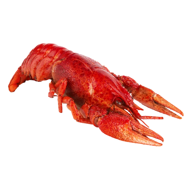 Crawfish / Crayfish