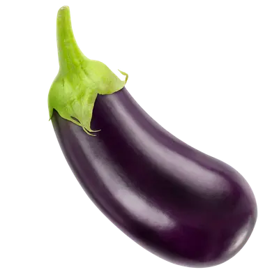 Eggplant