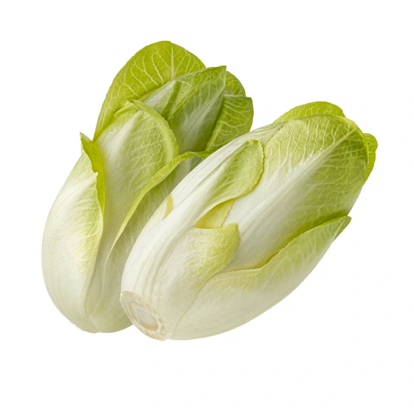 Endive