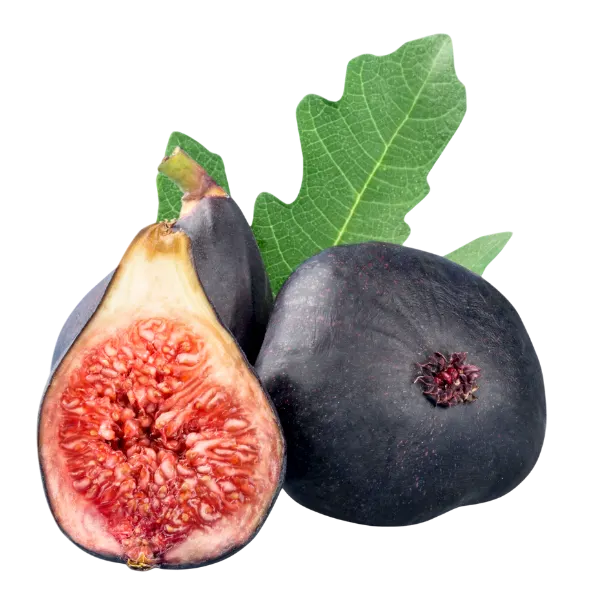 Figs fresh