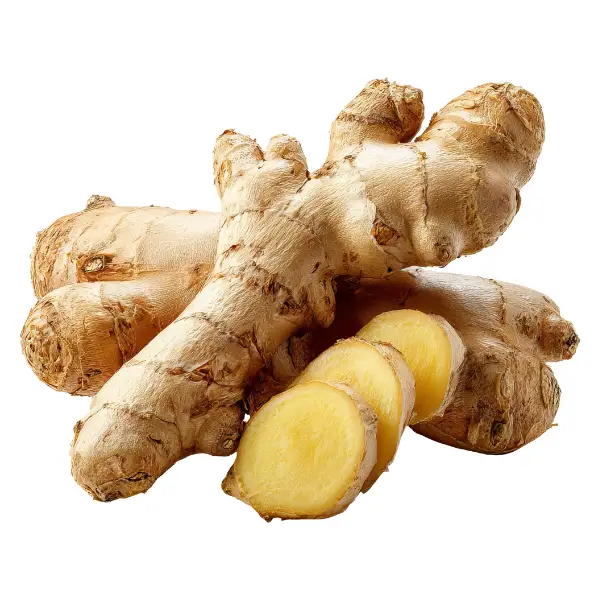 Ginger