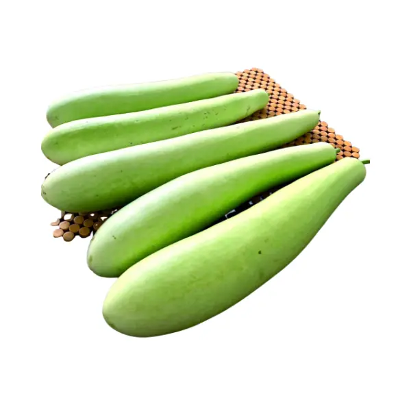 Gourds