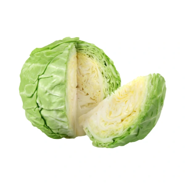 Cabbage, green or white