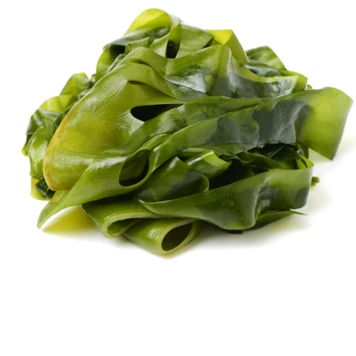 Kelp