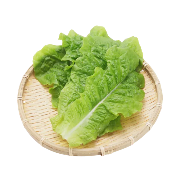 Lettuce, head and leaf