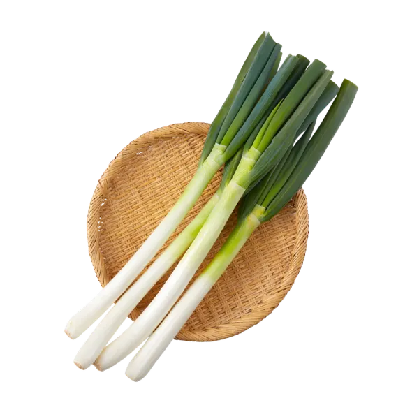 Leek