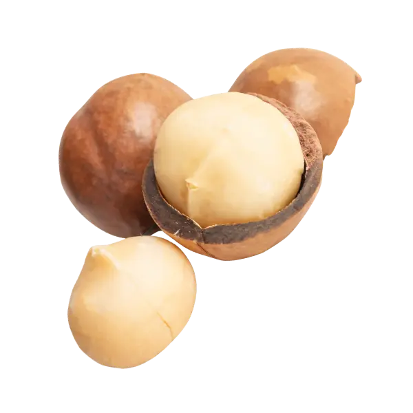 Macadamia