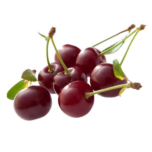 Morello cherries