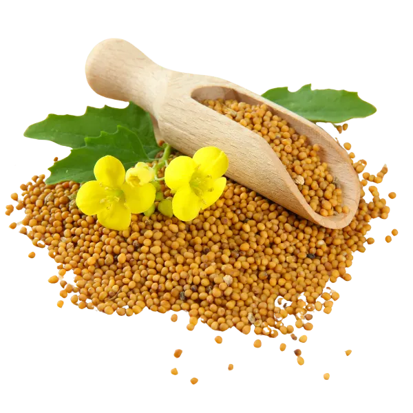 Mustard seeds