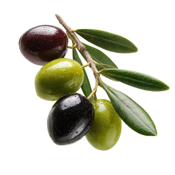 Olives