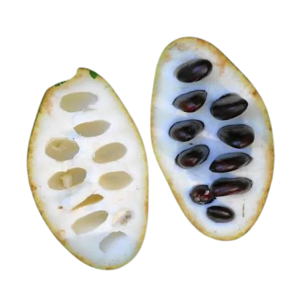 Pawpaw