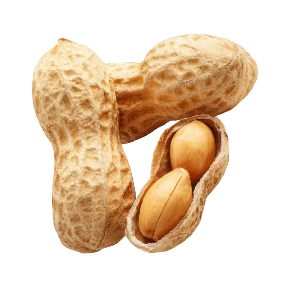Peanuts