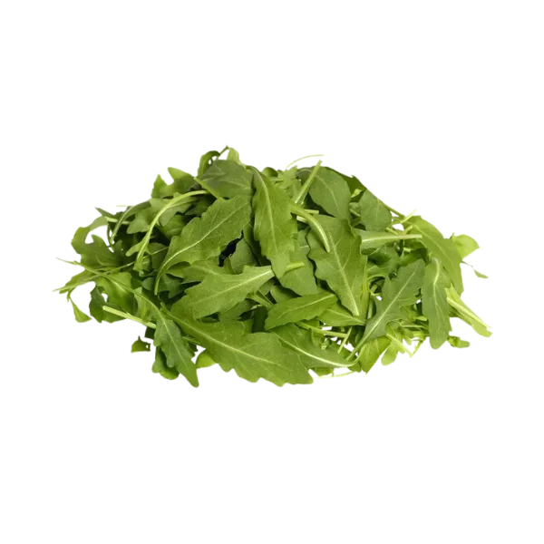 Perennial wall-rocket
