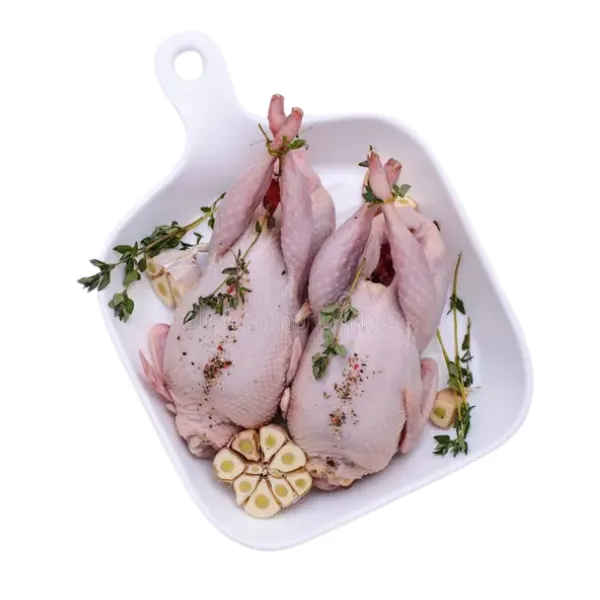 Quail