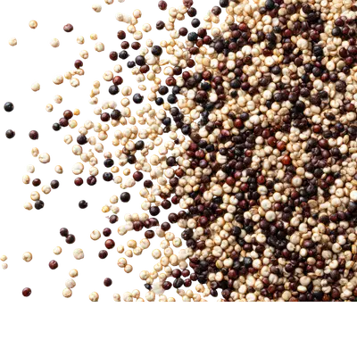 Quinoa