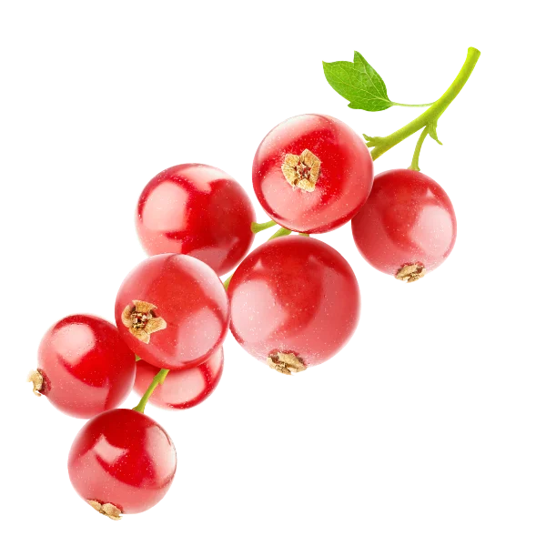 Redcurrants