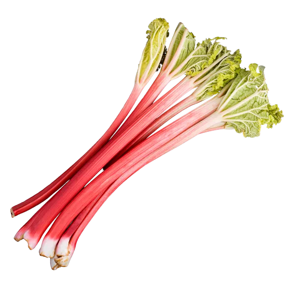 Rhubarb