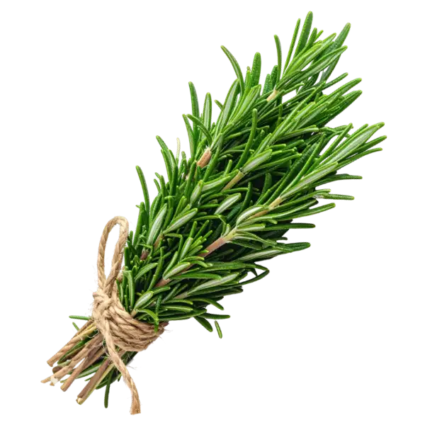 Rosemary