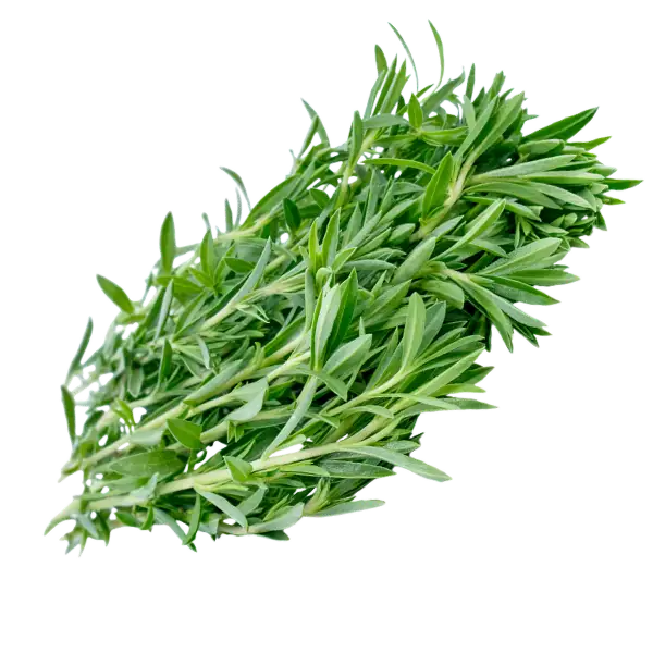 Savory