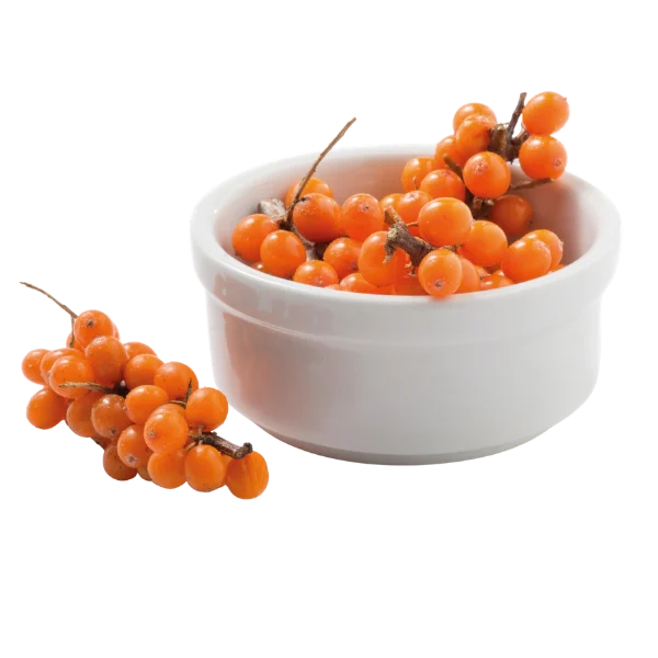 Sea buckthorn