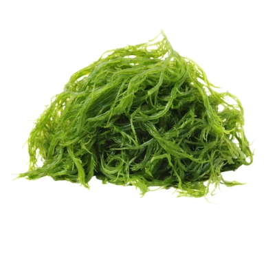 seaweed, algae