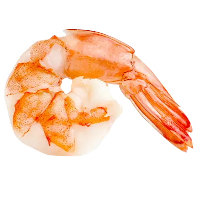 Shrimp