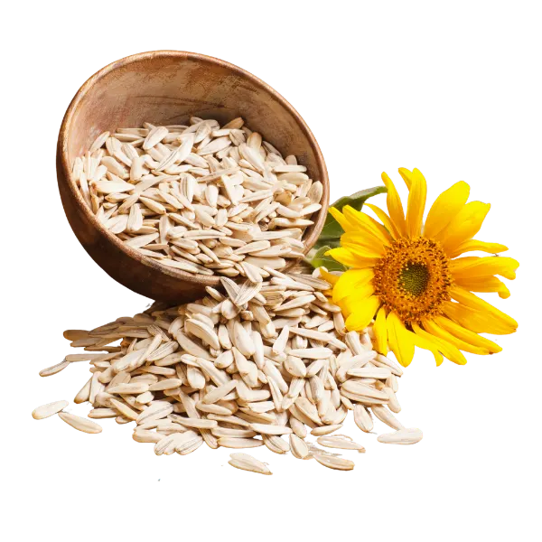 Sunflower seeds