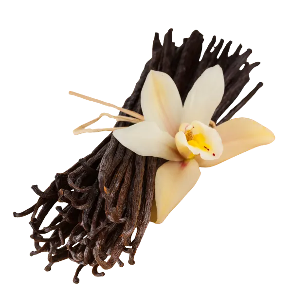 Vanilla