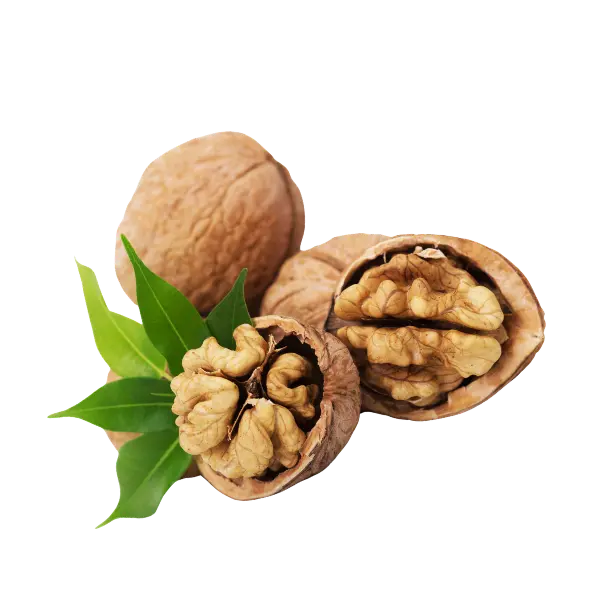 Walnut