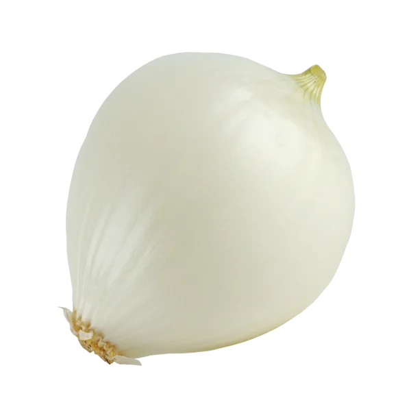 White onion
